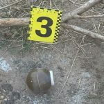 В Одеській області жінка кинула у подвір’я сусідів три бойові гранати